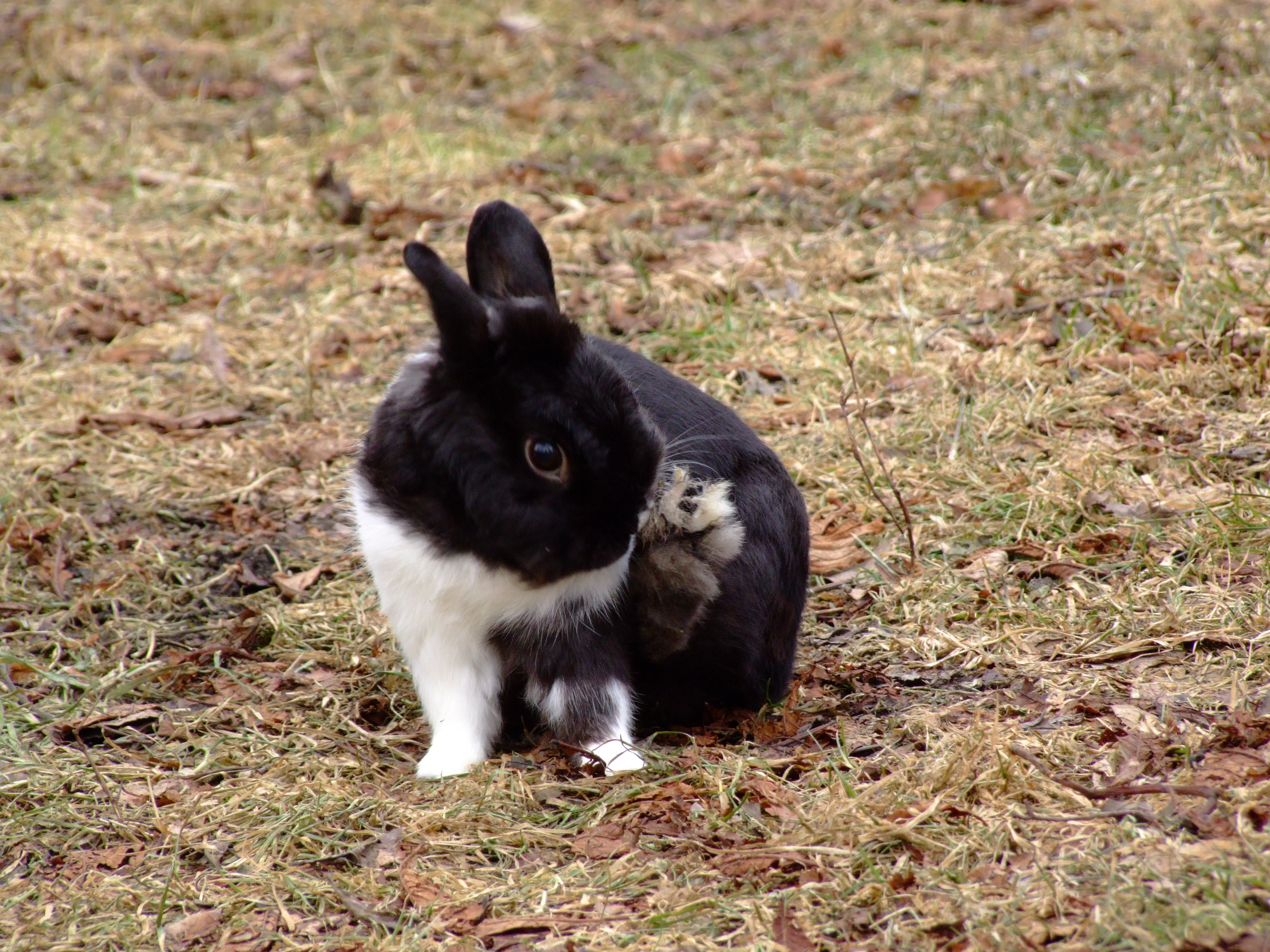 DSCF3478.JPG