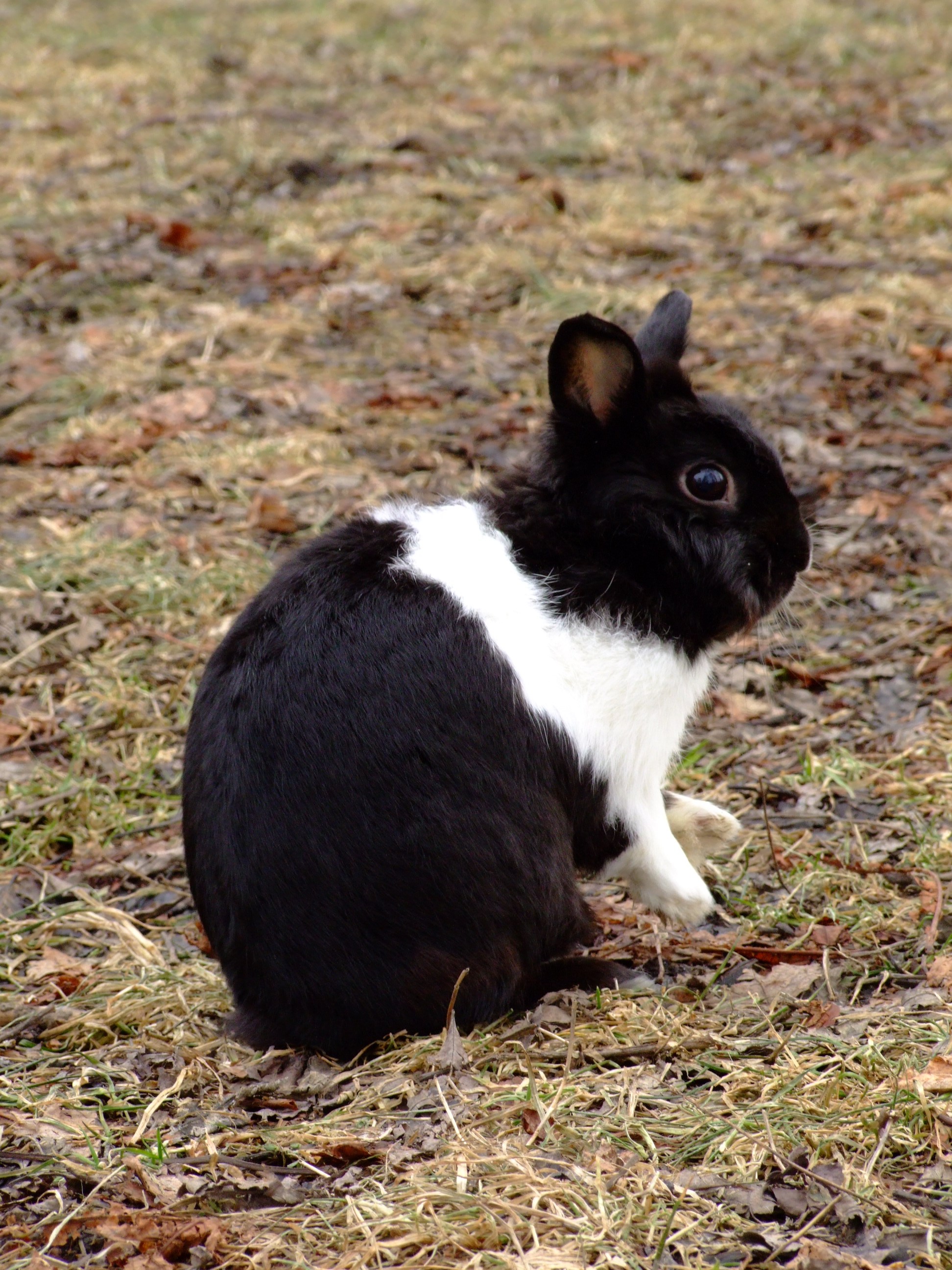 DSCF3459.JPG